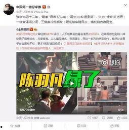 李成洙爆料视频大全集在线观看,揭秘幕后真相