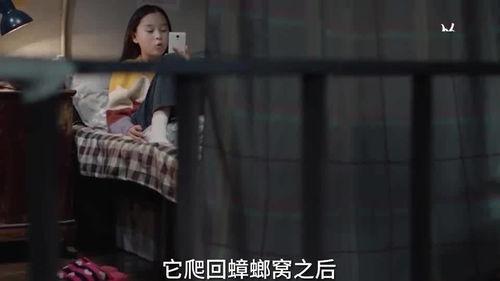 晨熙姐姐爆料了吗视频在线观看